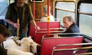 still of Timothy Spall in The Last Bus
