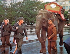 Oliver Reed with an elephant
